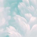 如何选择合适的酒店